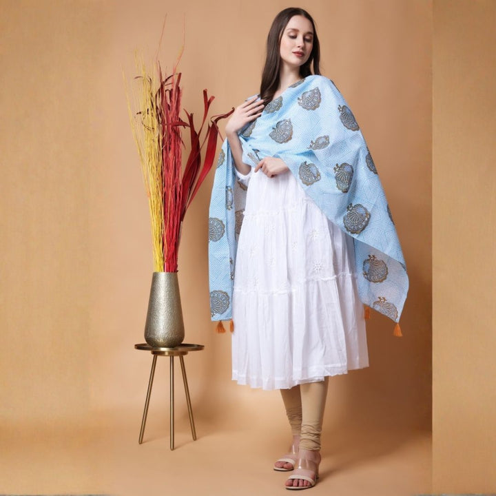 INDHA Stole | White Cotton Stole | Hand Block Printed Blue Geometric Design Pattern And Brown Peacock Design Motif | Hand Block Printed Stole | Stoles For Women | Ethnic Stoles | Gifting | Fashion Wear | Indo Western Stole | Fashion Accessory