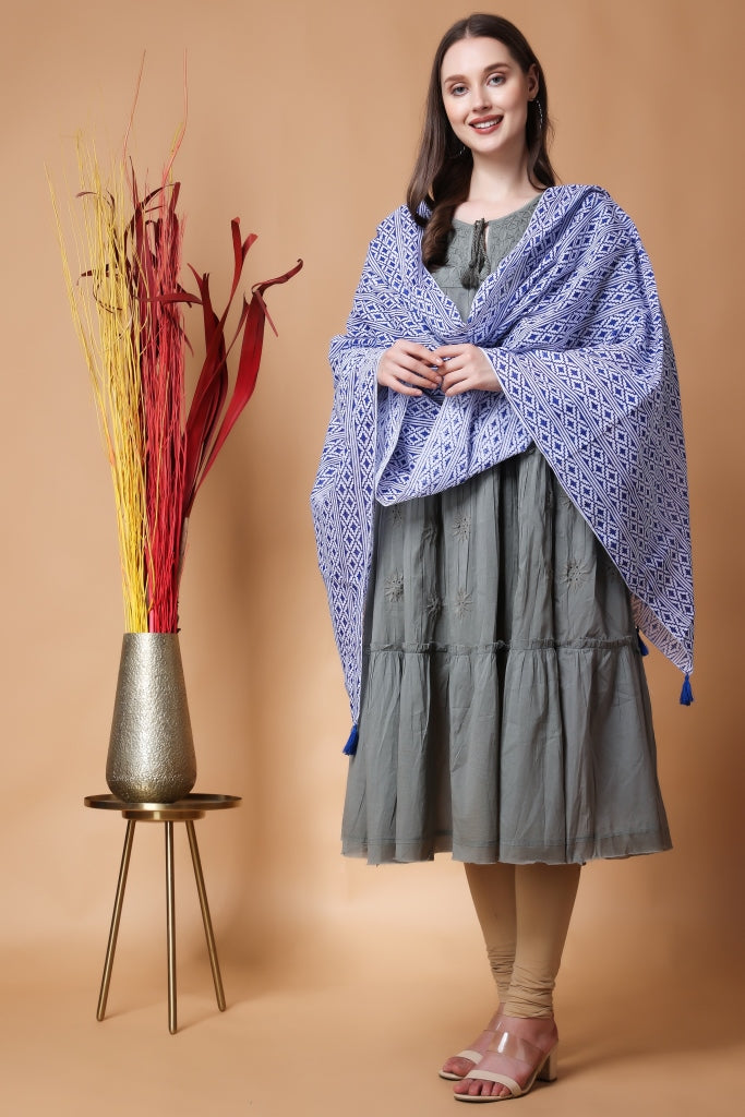 INDHA Stole | White Cotton Stole | Hand Block-Printed Blue Geometric Design Pattern | Hand Block Printed Stole | Stoles For Women | Traditional Stoles | Gifting | Fashion Wear | Indo Western Stole | Fashion Accessory