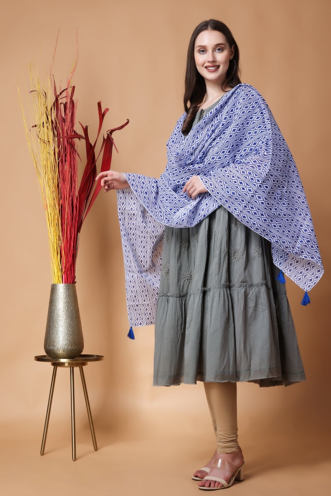 INDHA Stole | White Cotton Stole | Hand Block-Printed Blue Geometric Design Pattern | Hand Block Printed Stole | Stoles For Women | Traditional Stoles | Gifting | Fashion Wear | Indo Western Stole | Fashion Accessory