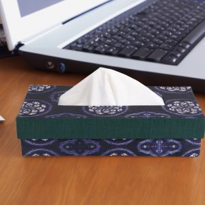 Handcrafted Tissue Box Blue & Green